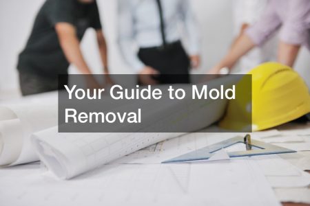 mold contamination services